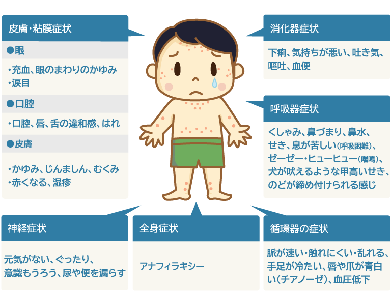 図：食物アレルギーの症状