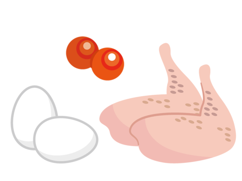 イラスト:鶏卵と魚卵