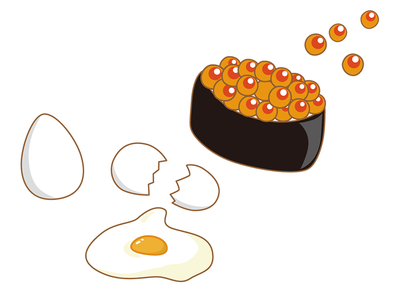イラスト：鶏卵と魚卵