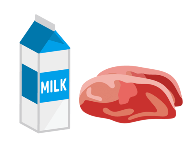 イラスト:鶏卵と鶏肉、牛乳と牛肉